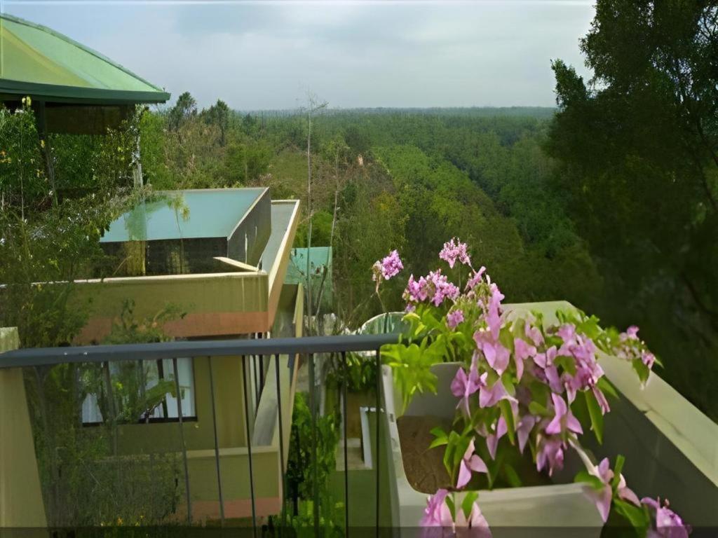 Mangrove Escapes Resort Бентота Экстерьер фото