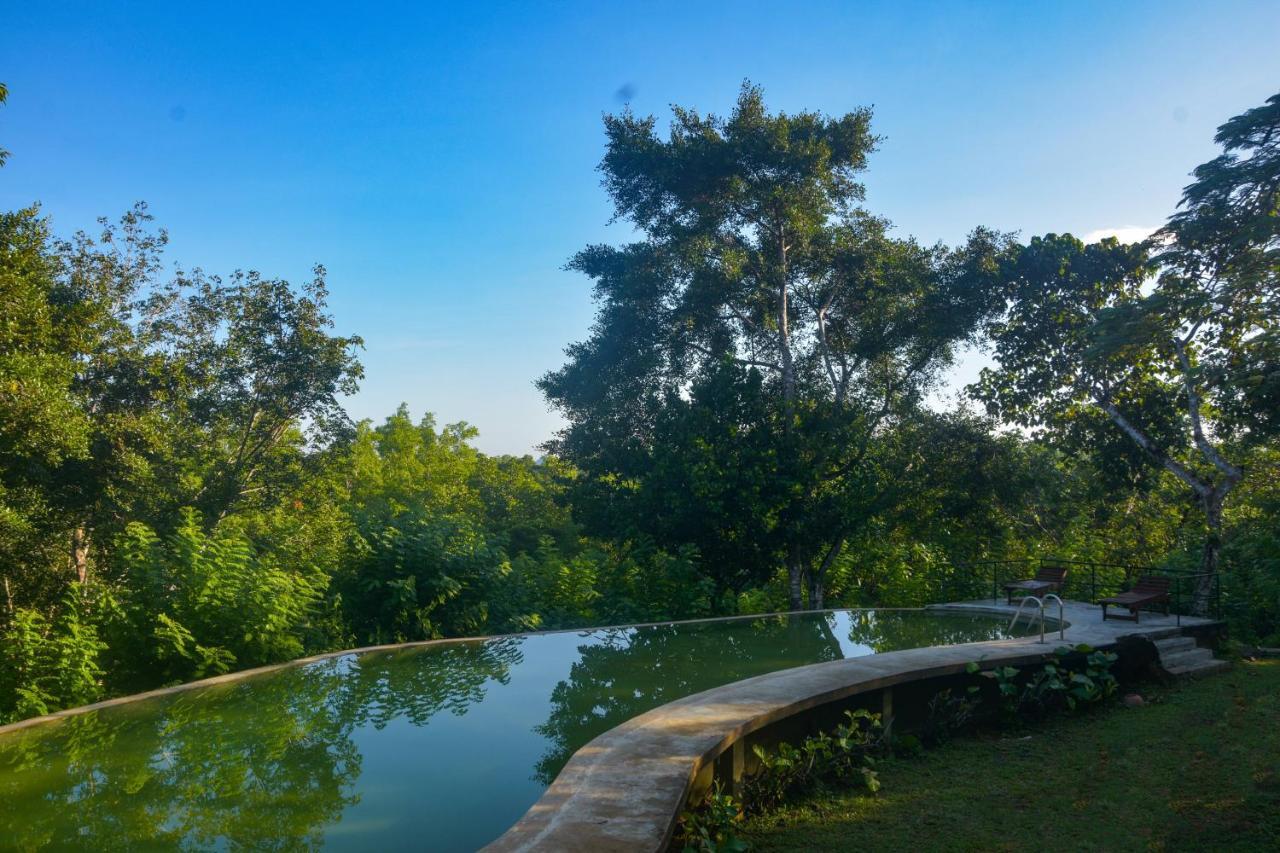 Mangrove Escapes Resort Бентота Экстерьер фото